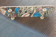 Skateboard