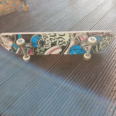 Skateboard