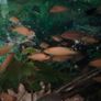 Fluval 60l Image 2