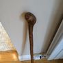 Walking stick Image 2
