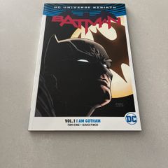 Batman I am Gotham Graphic Novel