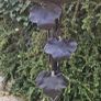 Hand Forged Candlesticks Image 4