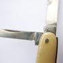 Antique Gentleman Pocket Knife - ELOSI Image 4
