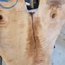 Live Edge Sycamore slab Image 2