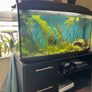 160l AQUAEL Fish tank Image 2