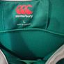 irfu Ireland 2016-17 home jersey Large Image 2