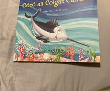 Irish language children's book