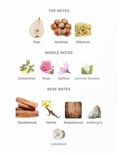 Amouage  Guidance