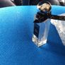 Tova (Beverly Hills) Perfume. Image 2