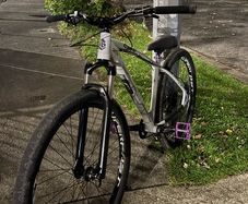 Collective C100 V2 Pro Custom Built Rockshox Judy forks