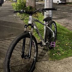 Collective C100 V2 Pro Custom Built Rockshox Judy forks