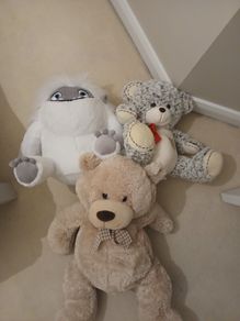 Teddies