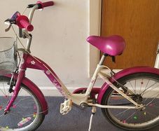 20 inch girls bike