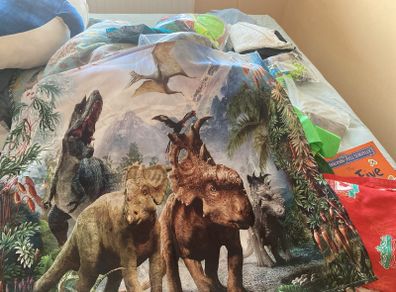 Dinosaur fabric material
