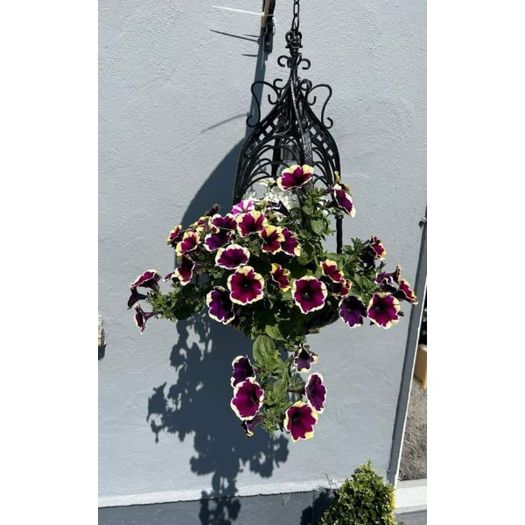 Ornate Hanging Basket