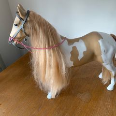 generation hair play styling horse