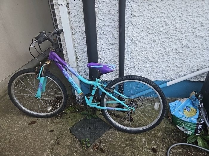 kids bicyle
