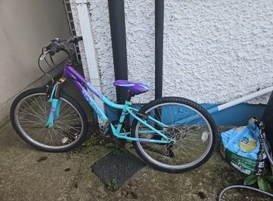 kids bicyle