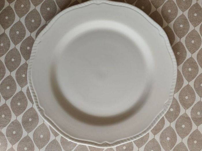 6 Dinner plates