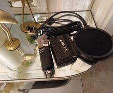 NEEWER microphone