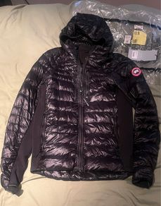 Canada goose hybridge