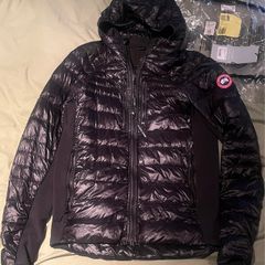Canada goose hybridge