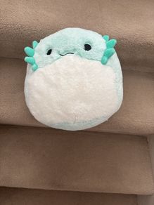 Medium Squishmallow