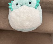 Medium Squishmallow