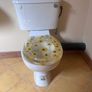 Toilet Image 2