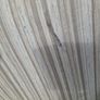 chair Image 3