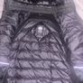 canada goose Image 3