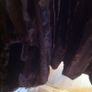 stunning new next brown fur coat size 20 Image 5