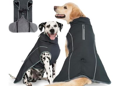 Dog Coat Large