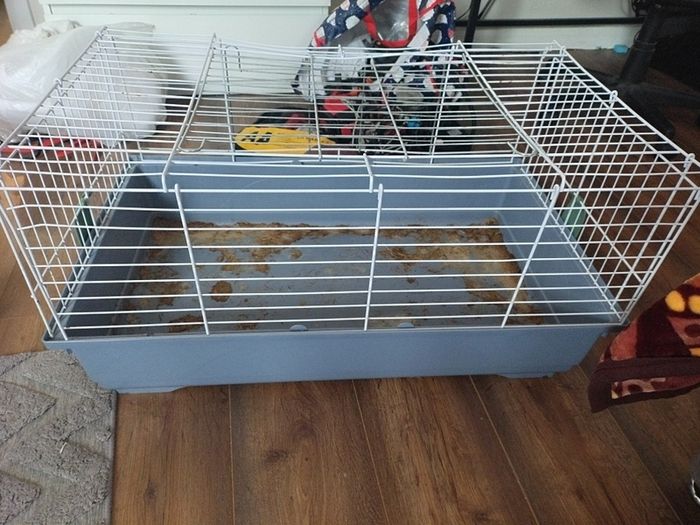large guinea pig cage