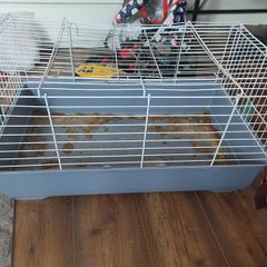 large guinea pig cage