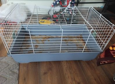 large guinea pig cage