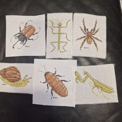 Unmounted Cross-stitch Insects