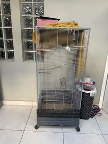 bird cage