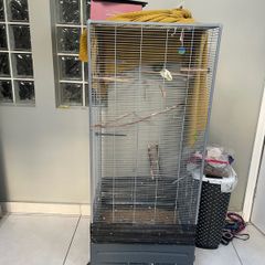 bird cage
