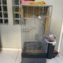 Large bird cage Image 2