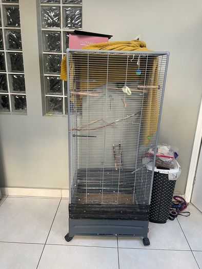 Large bird cage