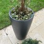 self watering pot Image 2