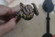 unisex bracelet