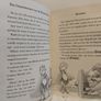 The Christmasaurus and the Winter Witch by Tom Fletcher HARDBACK BOOK Image 6