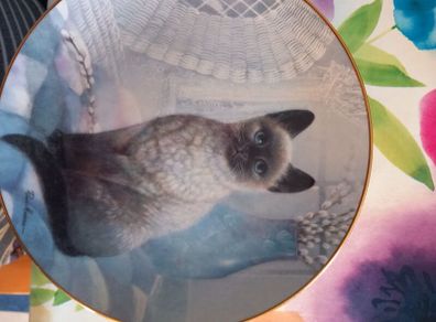 Decorative Kitten Plates