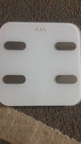 Electronic Scale