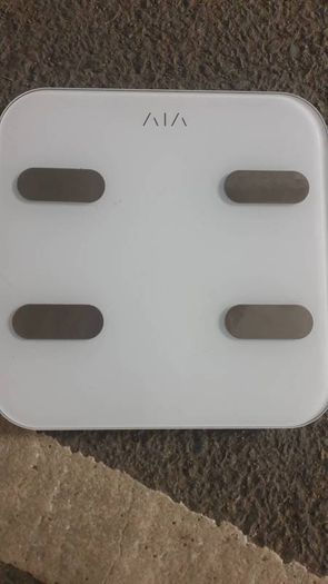 Electronic Scale
