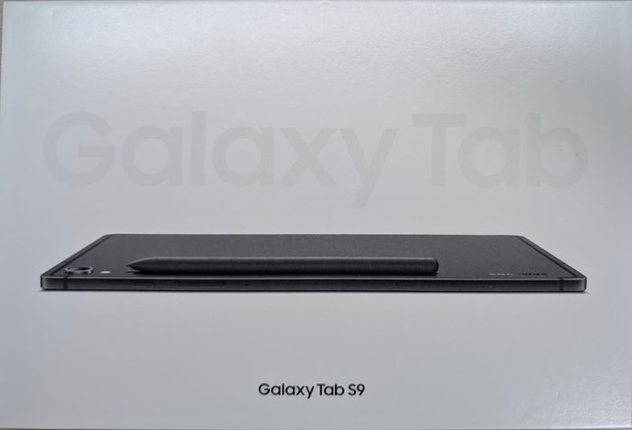 Samsung Galaxy Tab S9 128GB 11" with Pen - Graphite MINT CONDITION