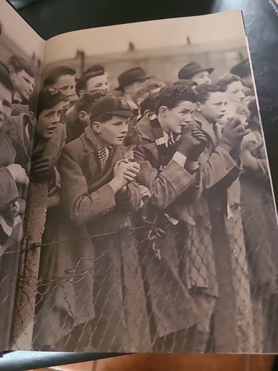 Terenure College A history