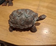 Schleich giant Tortoise